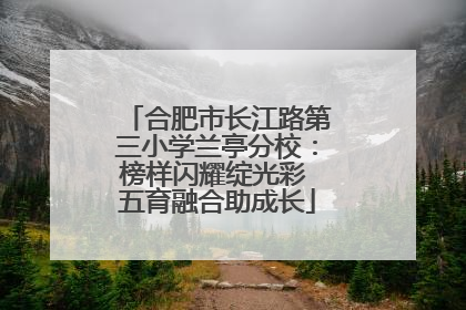 合肥市长江路第三小学兰亭分校：榜样闪耀绽光彩 五育融合助成长
