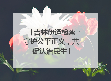 吉林伊通检察：守护公平正义，共促法治民生