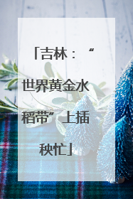 吉林：“世界黄金水稻带”上插秧忙