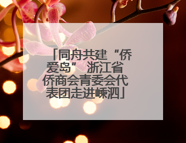 同舟共建“侨爱岛” 浙江省侨商会青委会代表团走进嵊泗