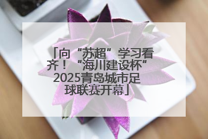 向“苏超”学习看齐！“海川建设杯”2025青岛城市足球联赛开幕