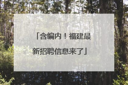 含编内！福建最新招聘信息来了