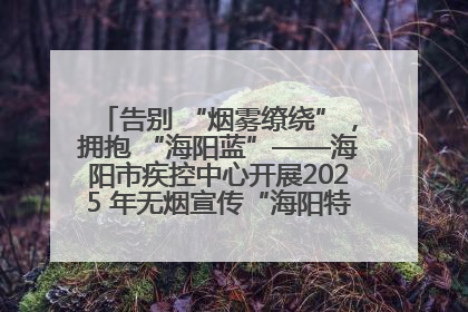 告别 “烟雾缭绕”，拥抱 “海阳蓝”——海阳市疾控中心开展2025 年无烟宣传“海阳特色”实践记录