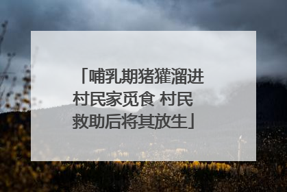 哺乳期猪獾溜进村民家觅食 村民救助后将其放生