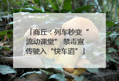 商丘：列车秒变“流动课堂” 禁毒宣传驶入“快车道”