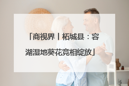 商视界丨柘城县：容湖湿地葵花竞相绽放