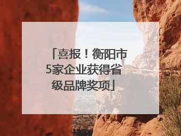 喜报！衡阳市5家企业获得省级品牌奖项
