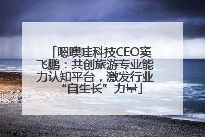 嗯噢哇科技CEO窦飞鹏：共创旅游专业能力认知平台，激发行业“自生长”力量