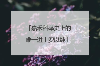 嘉禾科举史上的唯一进士罗以纯