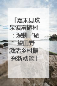 嘉禾县珠泉镇富硒村：深耕“硒”望田野 激活乡村振兴新动能