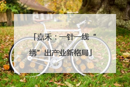 嘉禾：一针一线“绣”出产业新格局