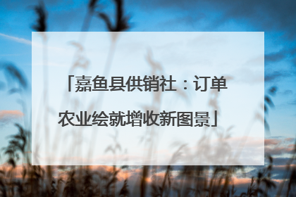 嘉鱼县供销社：订单农业绘就增收新图景