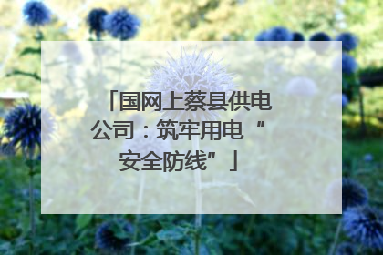 国网上蔡县供电公司：筑牢用电“安全防线”