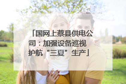 国网上蔡县供电公司：加强设备巡视 护航“三夏”生产