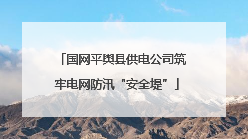 国网平舆县供电公司筑牢电网防汛“安全堤”