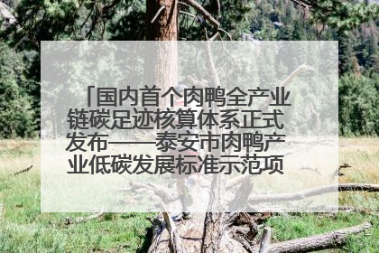 国内首个肉鸭全产业链碳足迹核算体系正式发布——泰安市肉鸭产业低碳发展标准示范项目顺利通过验收