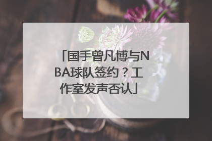 国手曾凡博与NBA球队签约？工作室发声否认