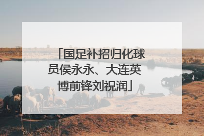 国足补招归化球员侯永永、大连英博前锋刘祝润