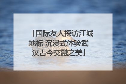 国际友人探访江城地标 沉浸式体验武汉古今交融之美