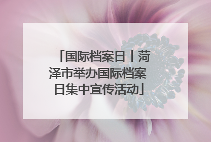 国际档案日丨菏泽市举办国际档案日集中宣传活动