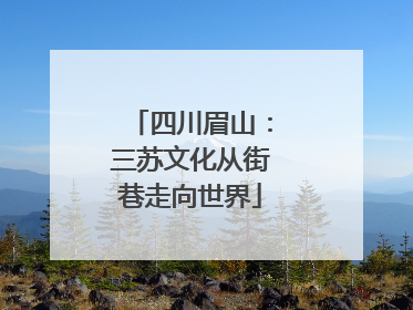 四川眉山：三苏文化从街巷走向世界