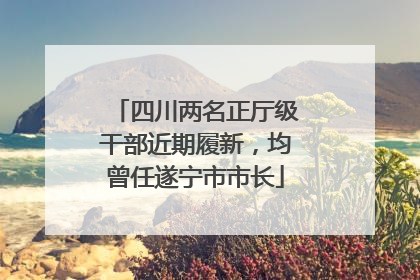 四川两名正厅级干部近期履新，均曾任遂宁市市长