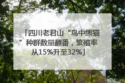 四川老君山“鸟中熊猫”种群数量翻番，繁殖率从15%升至32%