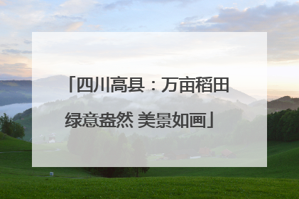 四川高县：万亩稻田绿意盎然 美景如画