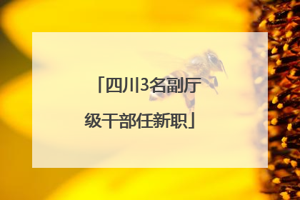 四川3名副厅级干部任新职