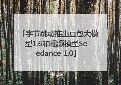 字节跳动推出豆包大模型1.6和视频模型Seedance 1.0