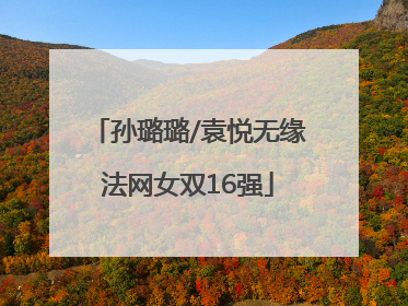 孙璐璐/袁悦无缘法网女双16强