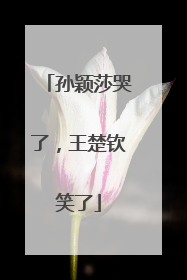 孙颖莎哭了，王楚钦笑了