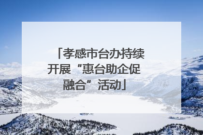 孝感市台办持续开展“惠台助企促融合”活动