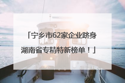 宁乡市62家企业跻身湖南省专精特新榜单！