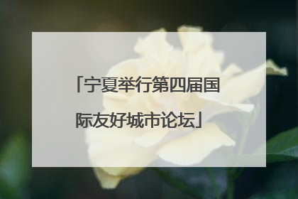 宁夏举行第四届国际友好城市论坛