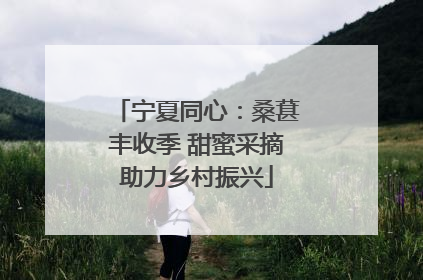 宁夏同心：桑葚丰收季 甜蜜采摘助力乡村振兴
