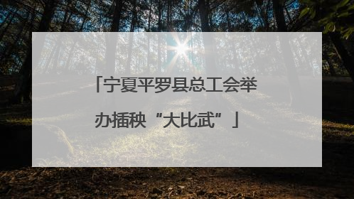 宁夏平罗县总工会举办插秧“大比武”