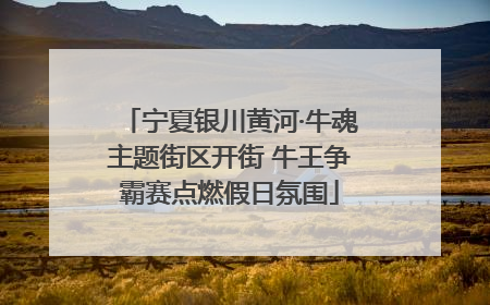 宁夏银川黄河·牛魂主题街区开街 牛王争霸赛点燃假日氛围