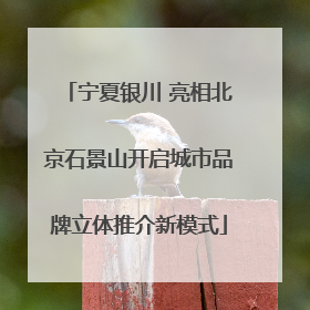 宁夏银川 亮相北京石景山开启城市品牌立体推介新模式