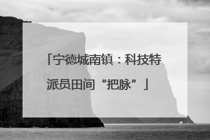 宁德城南镇：科技特派员田间“把脉”