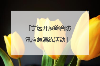 宁远开展综合防汛应急演练活动