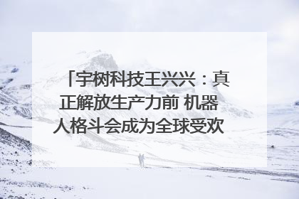 宇树科技王兴兴：真正解放生产力前 机器人格斗会成为全球受欢迎的赛事｜科技观察