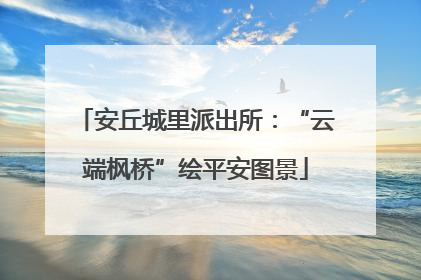 安丘城里派出所：“云端枫桥”绘平安图景