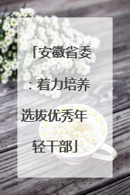 安徽省委：着力培养选拔优秀年轻干部