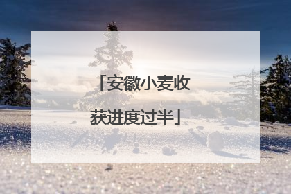 安徽小麦收获进度过半
