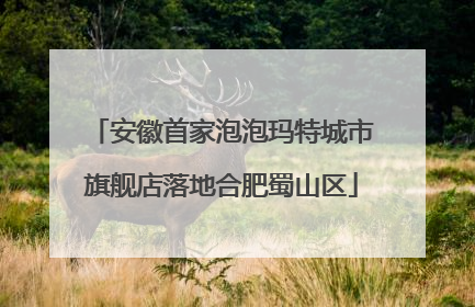 安徽首家泡泡玛特城市旗舰店落地合肥蜀山区