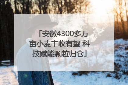 安徽4300多万亩小麦丰收有望 科技赋能颗粒归仓