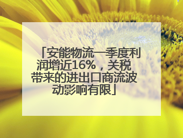 安能物流一季度利润增近16%，关税带来的进出口商流波动影响有限