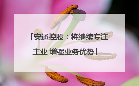 安通控股：将继续专注主业 增强业务优势