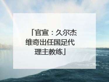 官宣：久尔杰维奇出任国足代理主教练